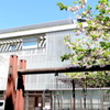 一葉記念館と一葉桜