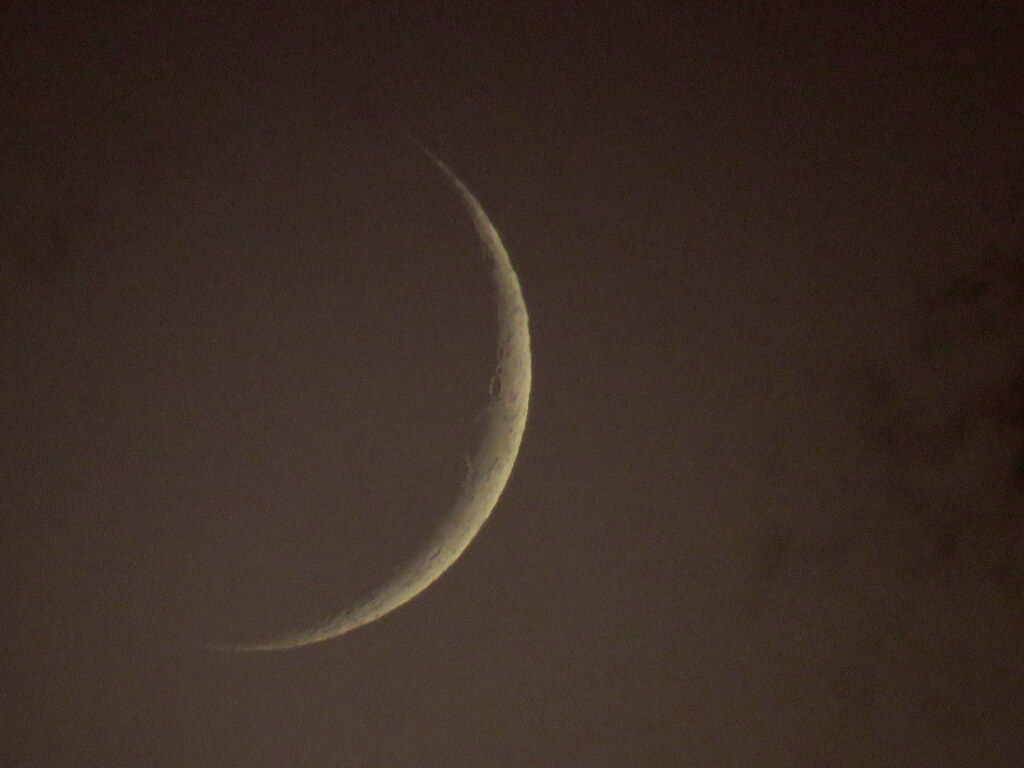 月齢2.6