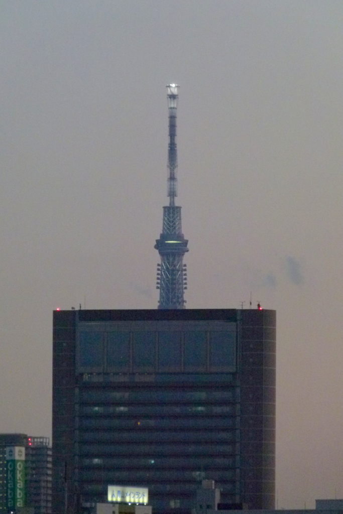 荒川土手から見えるタワービルから夕暮れの東京スカイツリー