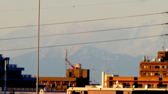 荒川土手から高速の上の雪の日光女峰山