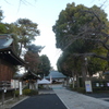 世田谷の松陰神社の境内