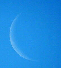 早朝の月齢26