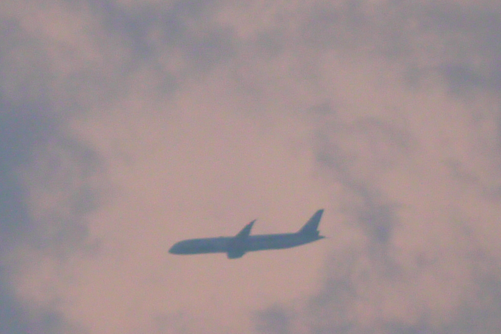 夕焼け雲の中を羽田へ旋回ANA機