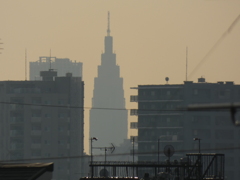 荒川土手から見える新宿の