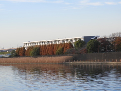 町屋側からの隅田川(荒川区)