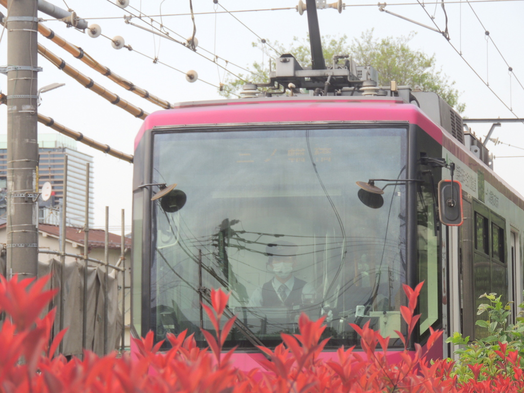 荒川2丁目の赤い都電荒川線三ノ輪方面へ
