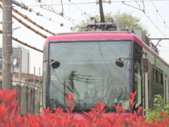 荒川2丁目の赤い都電荒川線三ノ輪方面へ