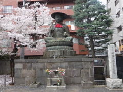 新宿の太宗寺の江戸六地蔵と桜
