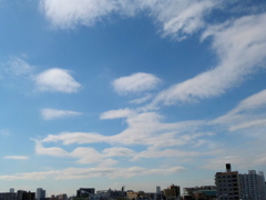 晩秋の空