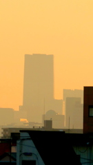 荒川土手から上野科博の天体ドームと東京ミッドタウン八重洲