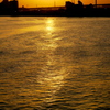 パトロール船が通った後の夕日の隅田川