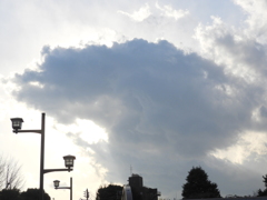 日暮里の高台の月見寺本行寺の上の空