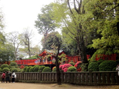 根津神社本殿脇の森の中の赤い鳥居の連なった乙女稲荷神社