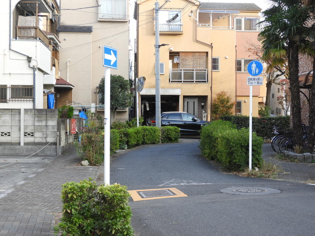 このカーブした路地がそのままカーブしながら尾竹橋通に出る江川堀