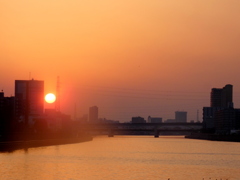 黄金色になった隅田川のマンションと鉄塔の間の夕日