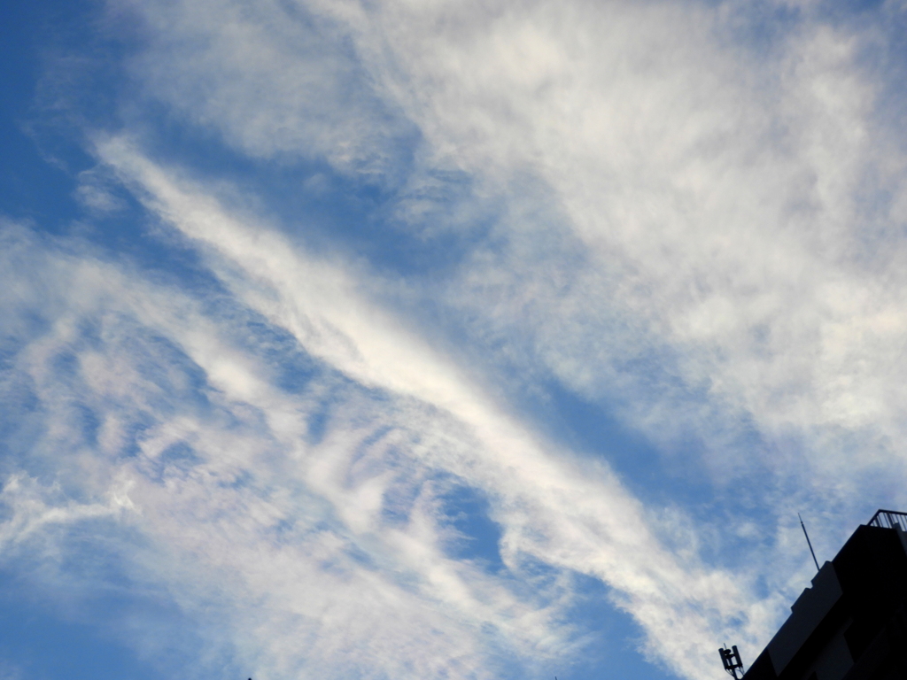 上野高速高架上の雲