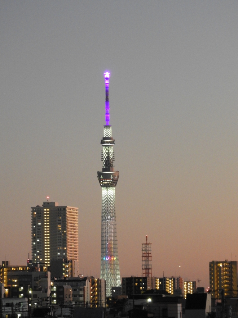 ’23新年の荒川土手から紫の東京スカイツリー