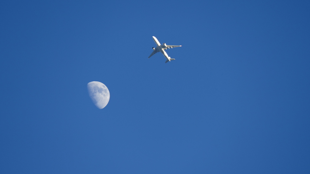青空の月齢8.9と
