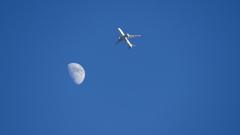 青空の月齢8.9と