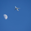 青空の月齢8.9と