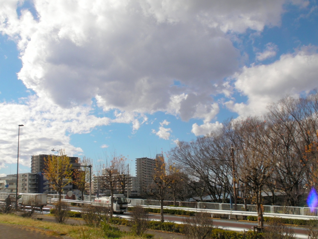 千住桜木ワンドから隅田川上空の大きな積雲