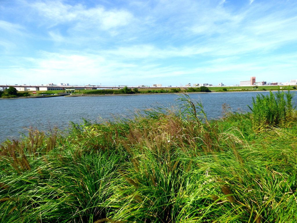 荒川の河原の風景