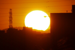 徳右衛門岳と景信山の谷の夕日