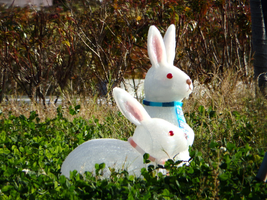 病院の玄関の緑の中のXmas2羽のウサギ