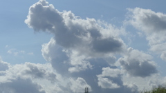 雲がわく荒川土手