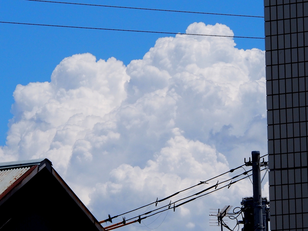民家の奥の夏雲