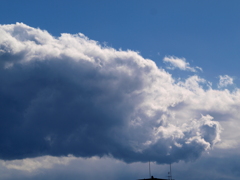 鮭の頭に見えた隅田川の積雲