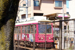 荒川三中前の桜洞の都電荒川線次は三ノ輪橋