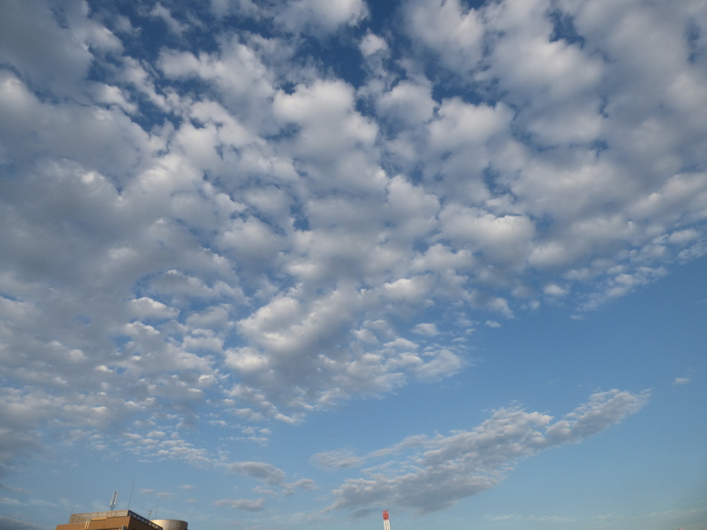 流れる高積雲