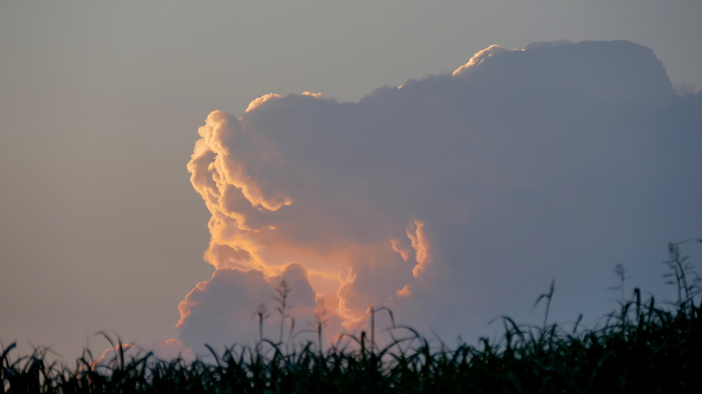 土手上の夕雲