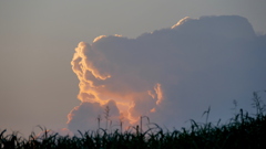 土手上の夕雲