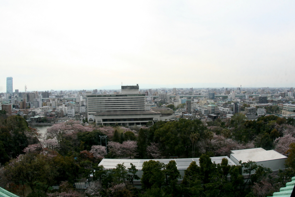 名古屋城の天主からの眺め３