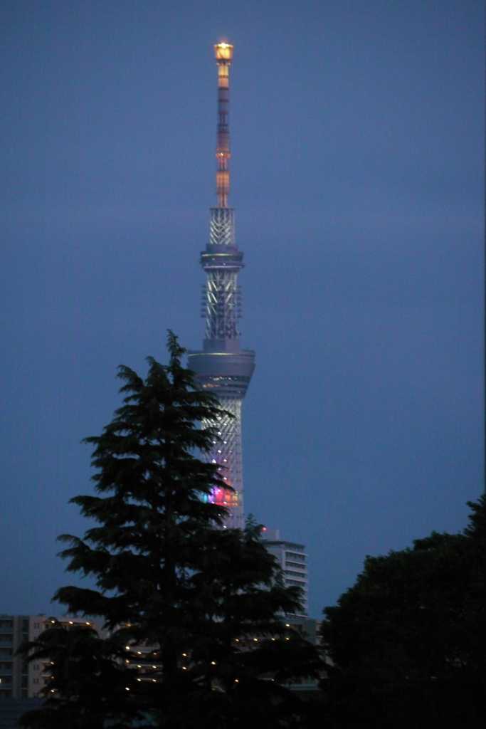 尾竹橋からレインボー東京スカイツリー