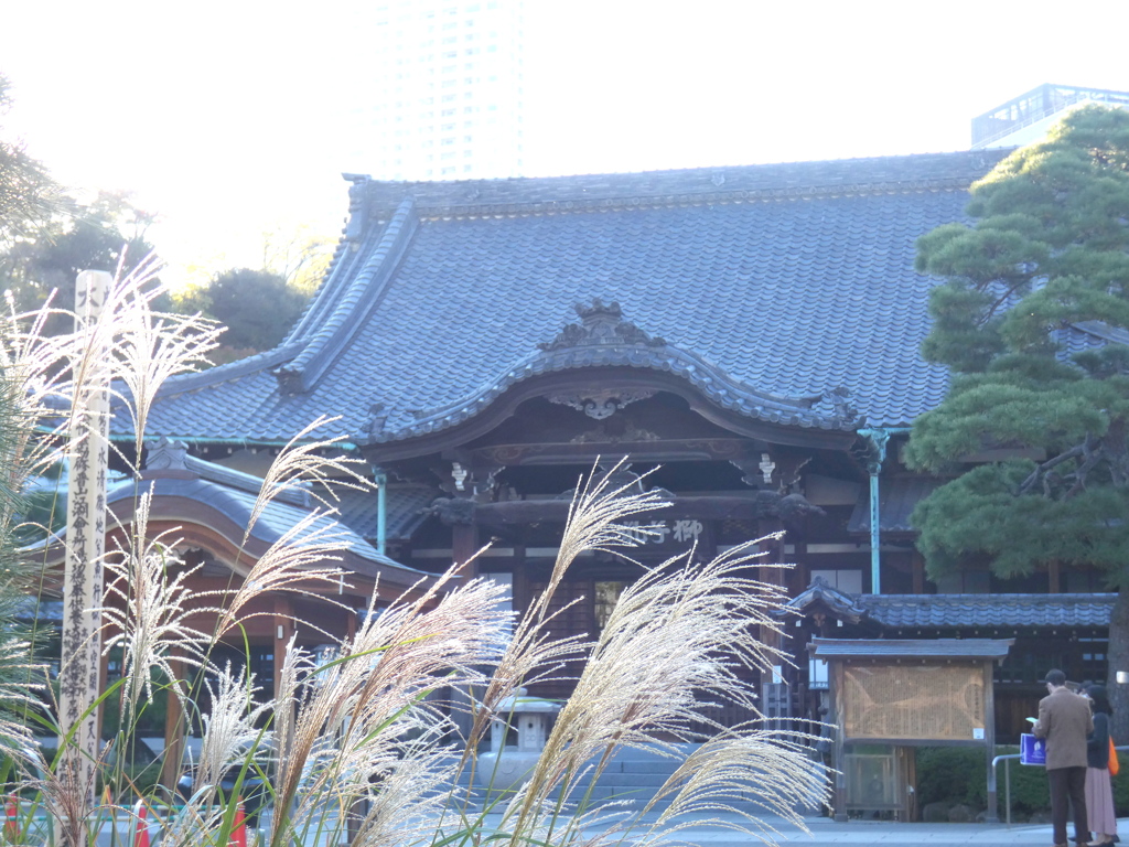 薄越しに泉岳寺本堂が