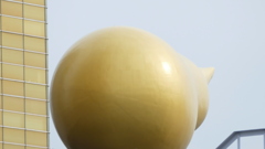 某ビールメイカーのきんとん雲が猫の後ろ姿に