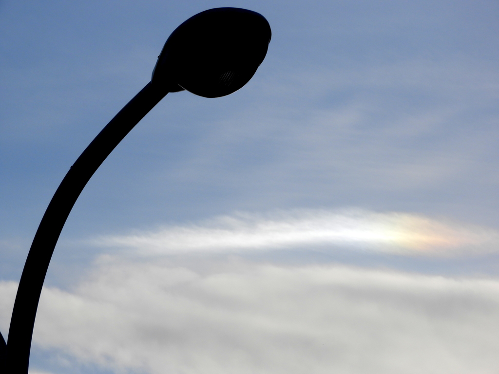荒川土手の街路灯下の太陽左の彩雲