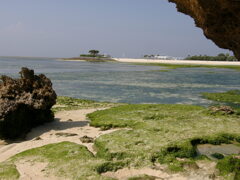 沖縄の美ら海の海岸