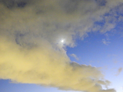 黄色い雲月光