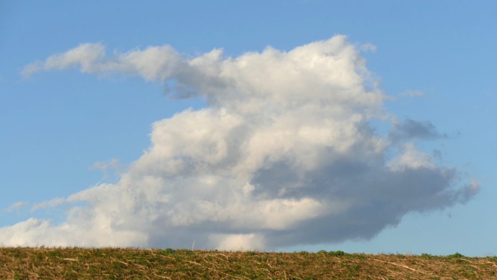草刈りした荒川土手の白雲