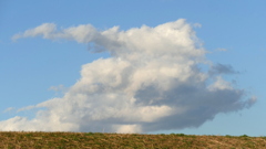 草刈りした荒川土手の白雲