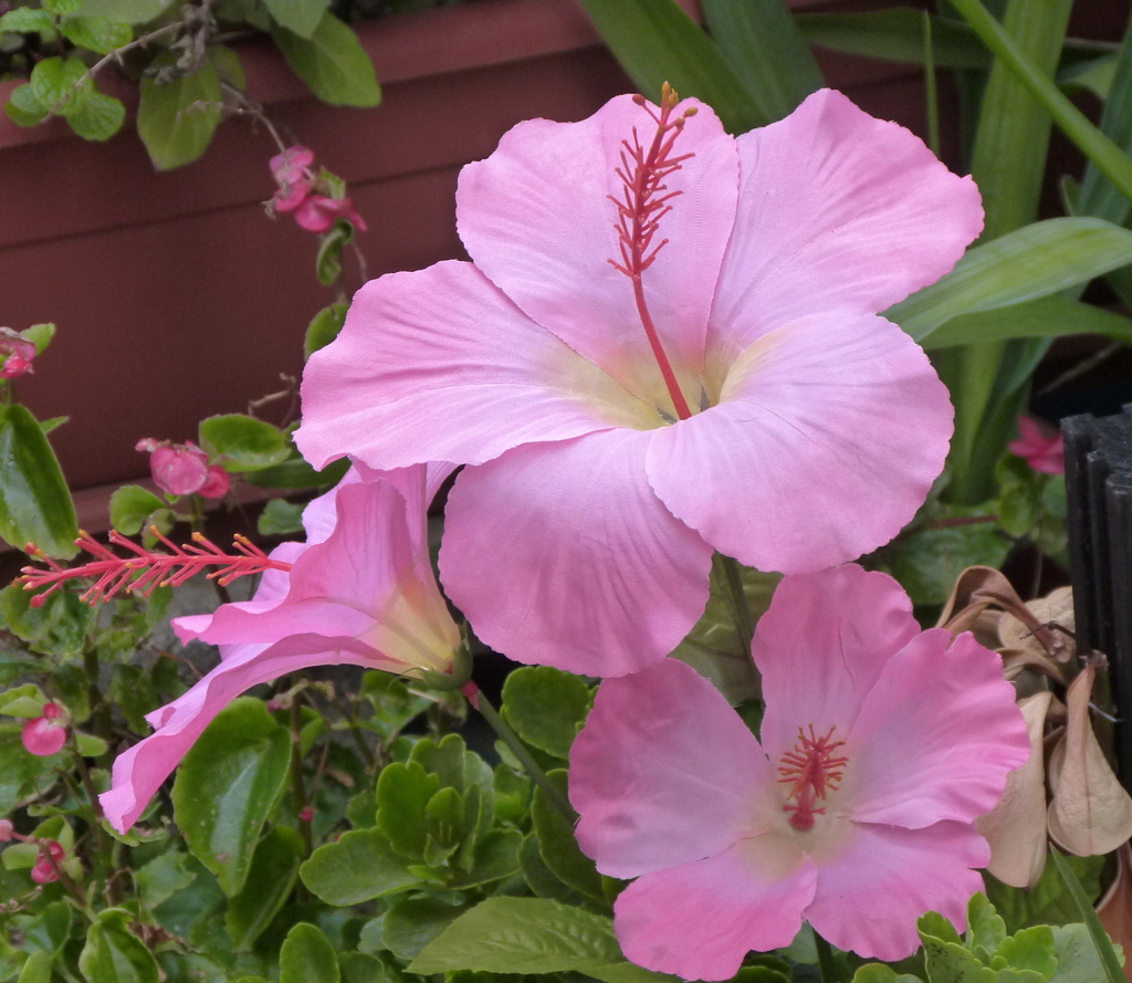 造花