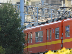 花壇越しの東武線