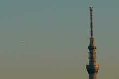 荒川土手から夕日の東京スカイツリーと遠くのジェット機