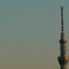 荒川土手から夕日の東京スカイツリーと遠くのジェット機