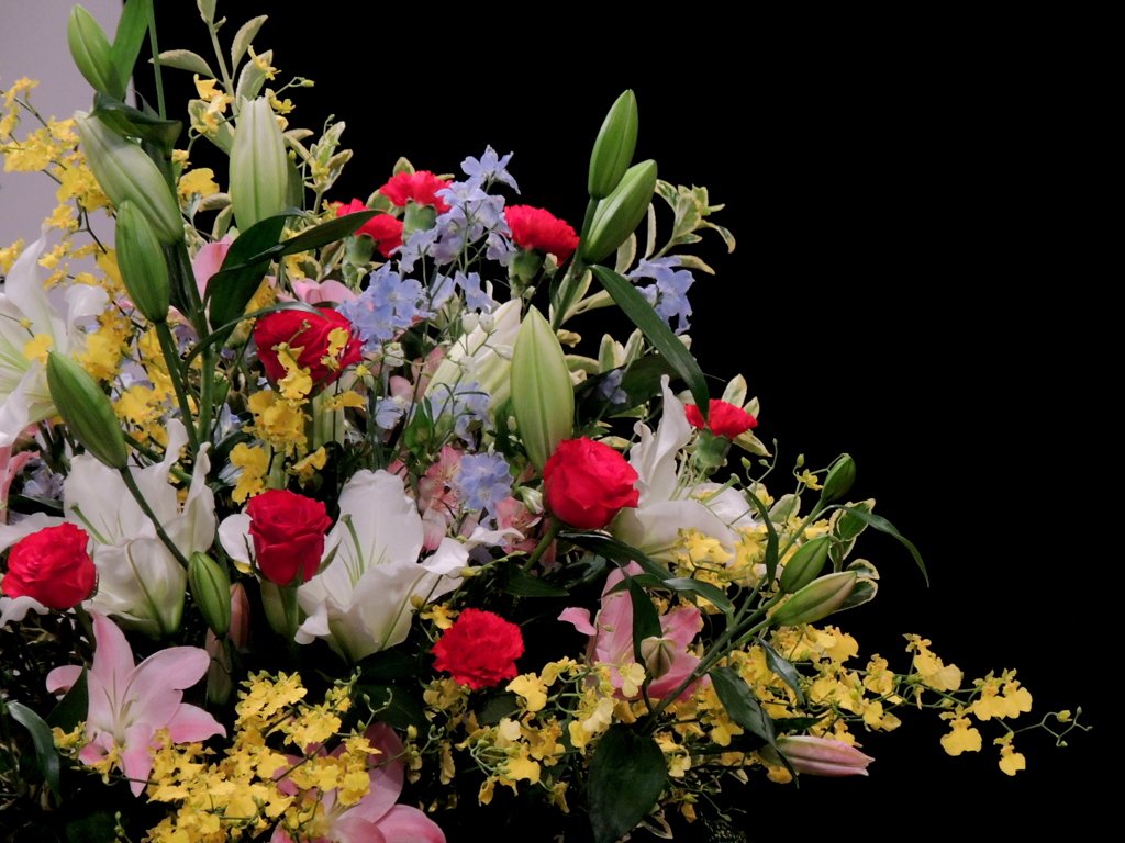 ホールの中の花瓶の花薔薇ユリデルフィニウムオンシジウム