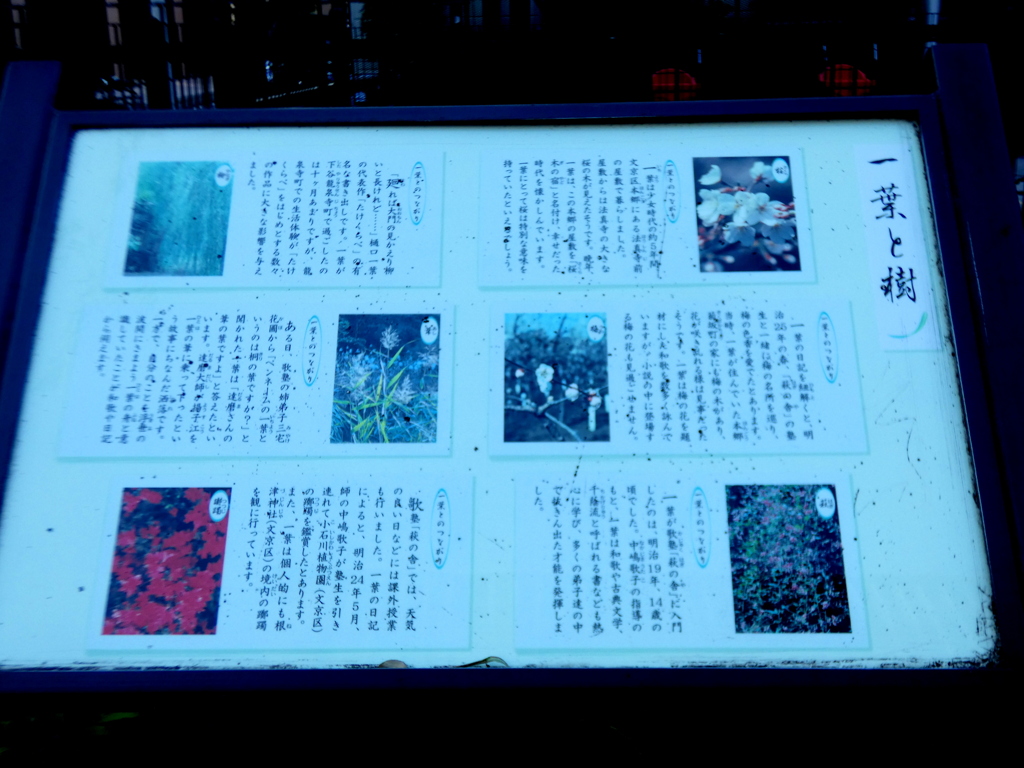 一葉記念館の前の公園にある一葉のいわれ